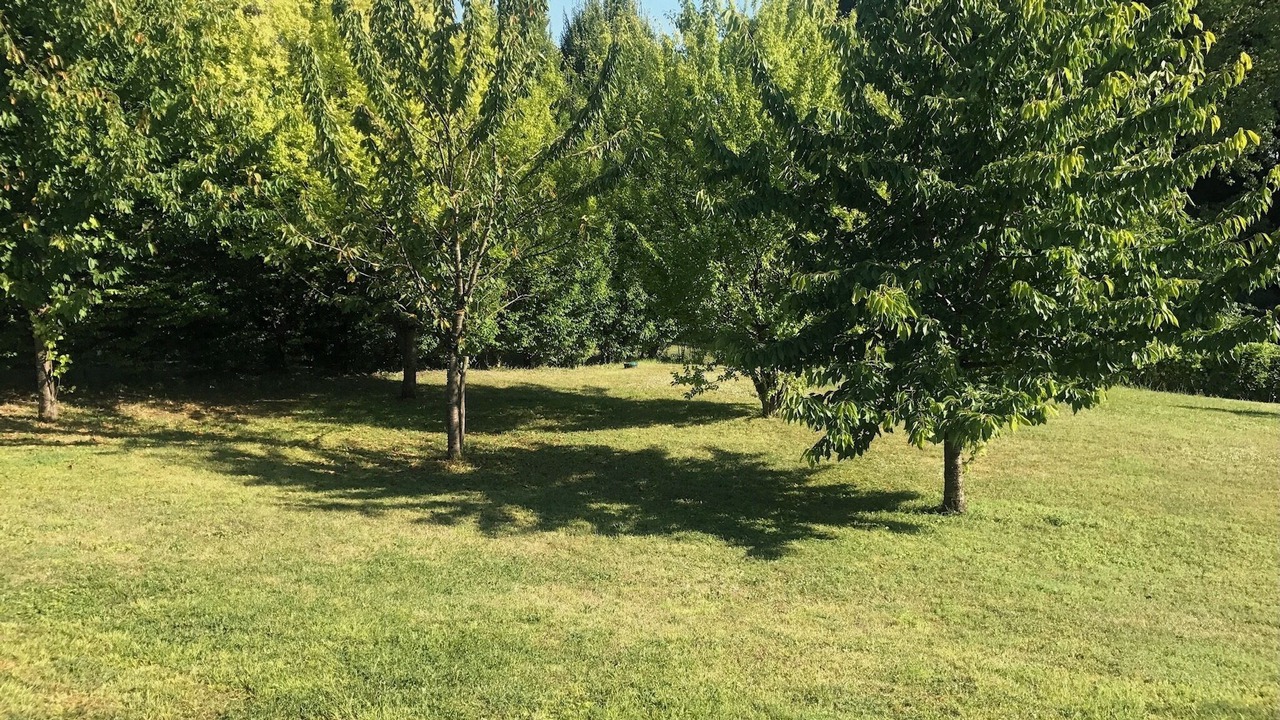Photo of Outdoor in Juillac-le-Coq