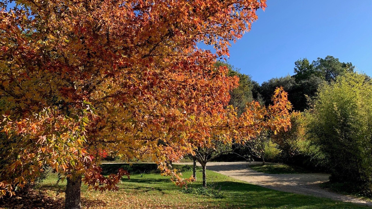 Photo of Outdoor in Calviac-en-Perigord