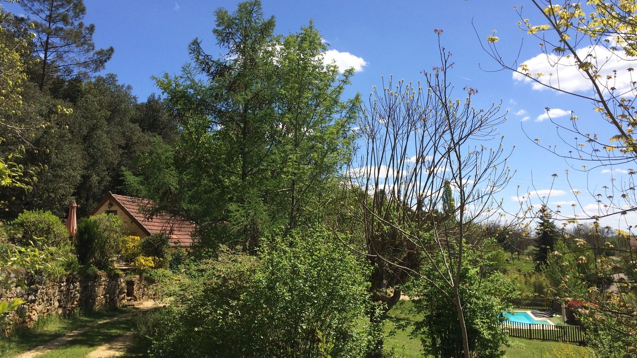 Photo of Outdoor in Calviac-en-Perigord