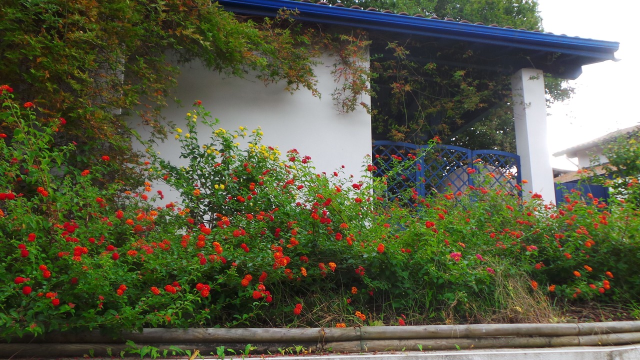 Photo of Outdoor in Saint-Jean-de-Luz