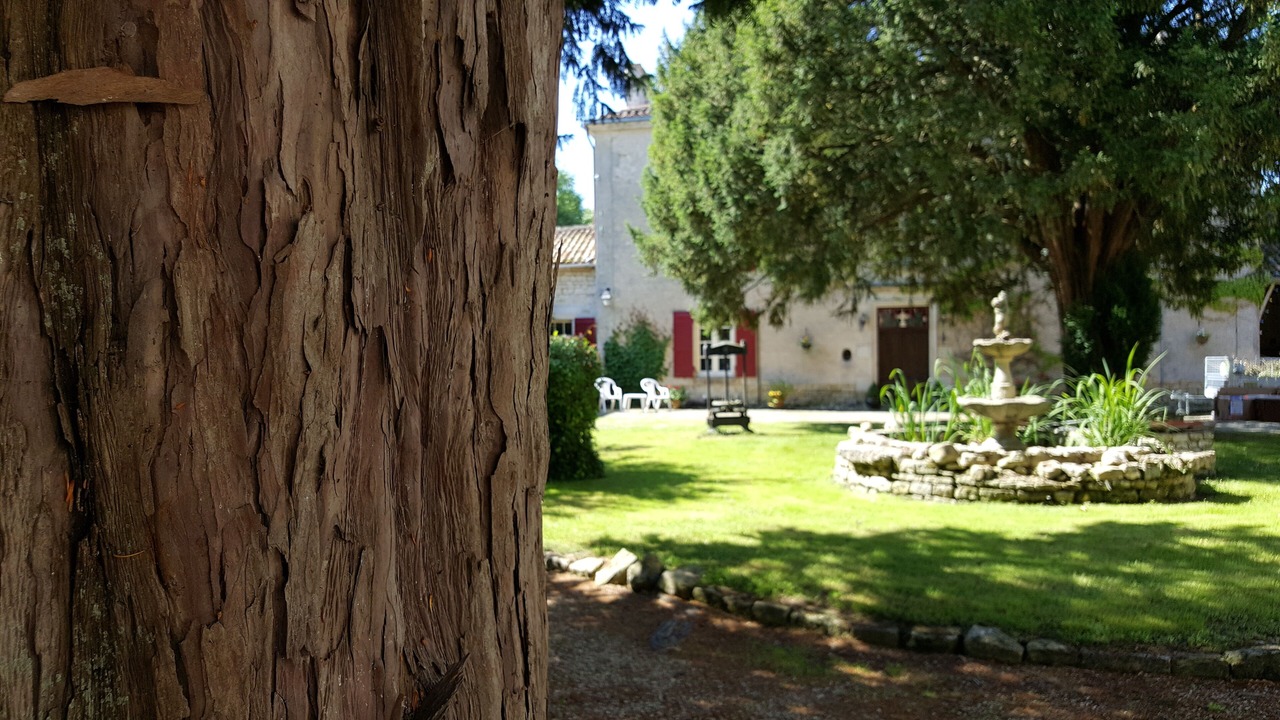 Photo of Others in Chef-Boutonne