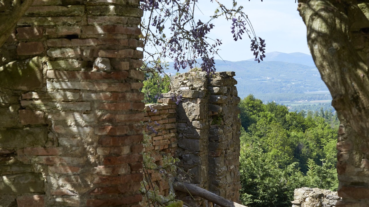 Photo of Outdoor in Borgo San Lorenzo