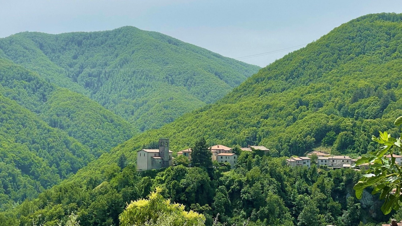 Photo of Others in Camporgiano