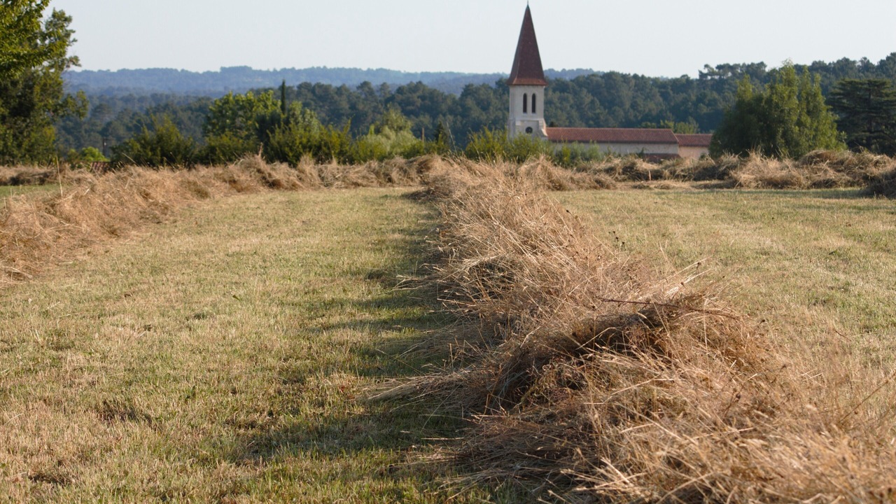 Photo of Outdoor in Ginestet