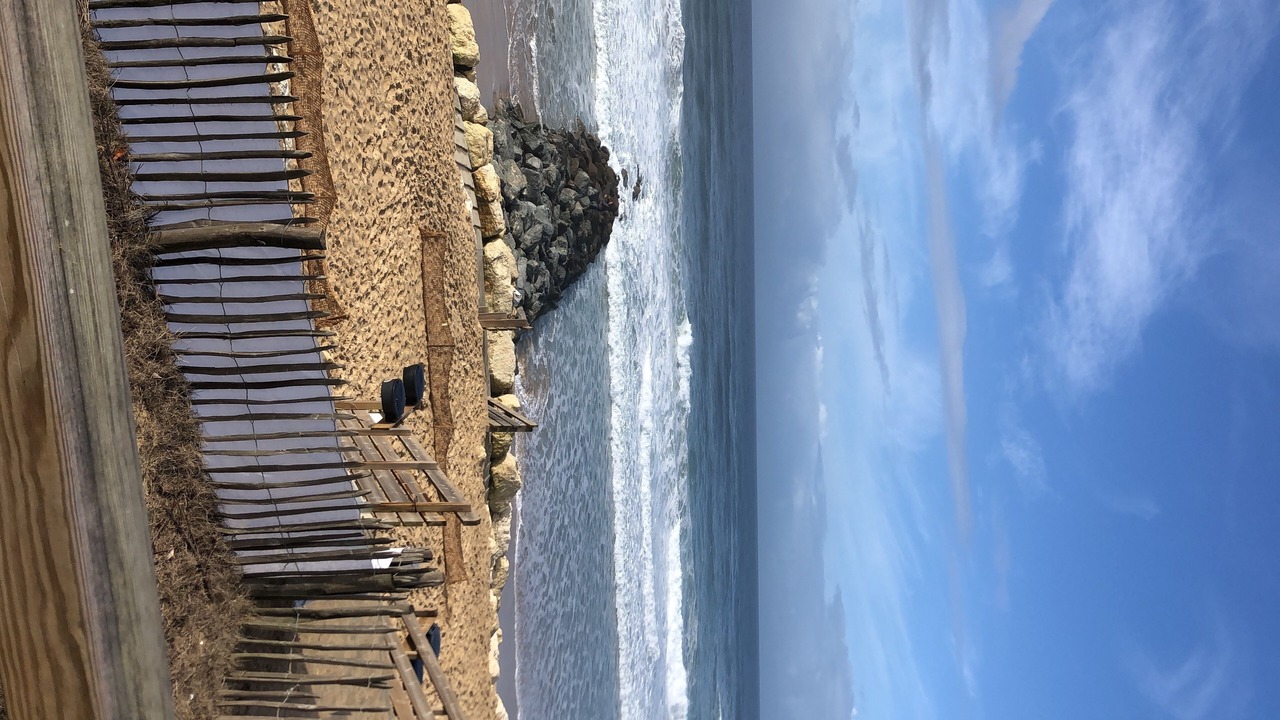 Photo of Others in Lacanau-Ocean