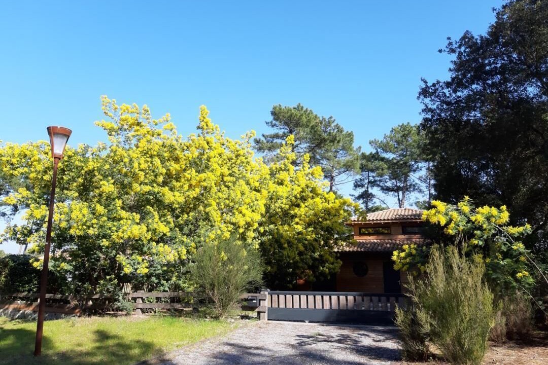 Photo of Outdoor in Lacanau-Ocean