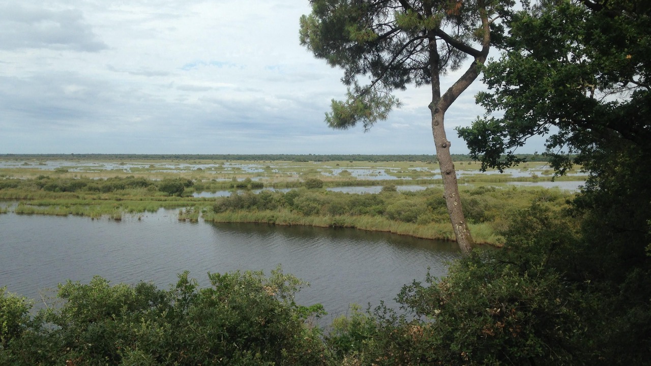 Photo of Outdoor in Lacanau-Ocean