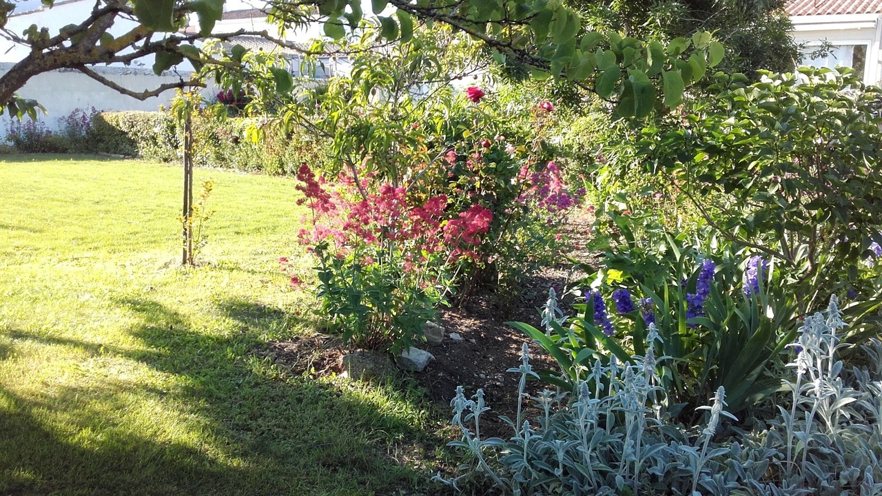 Photo of Outdoor in Marsilly