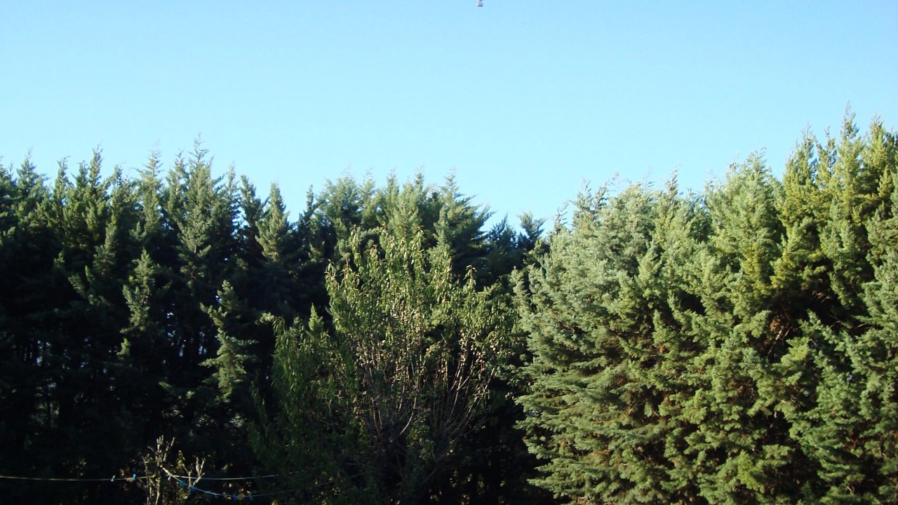 Photo of Outdoor in Roussillon