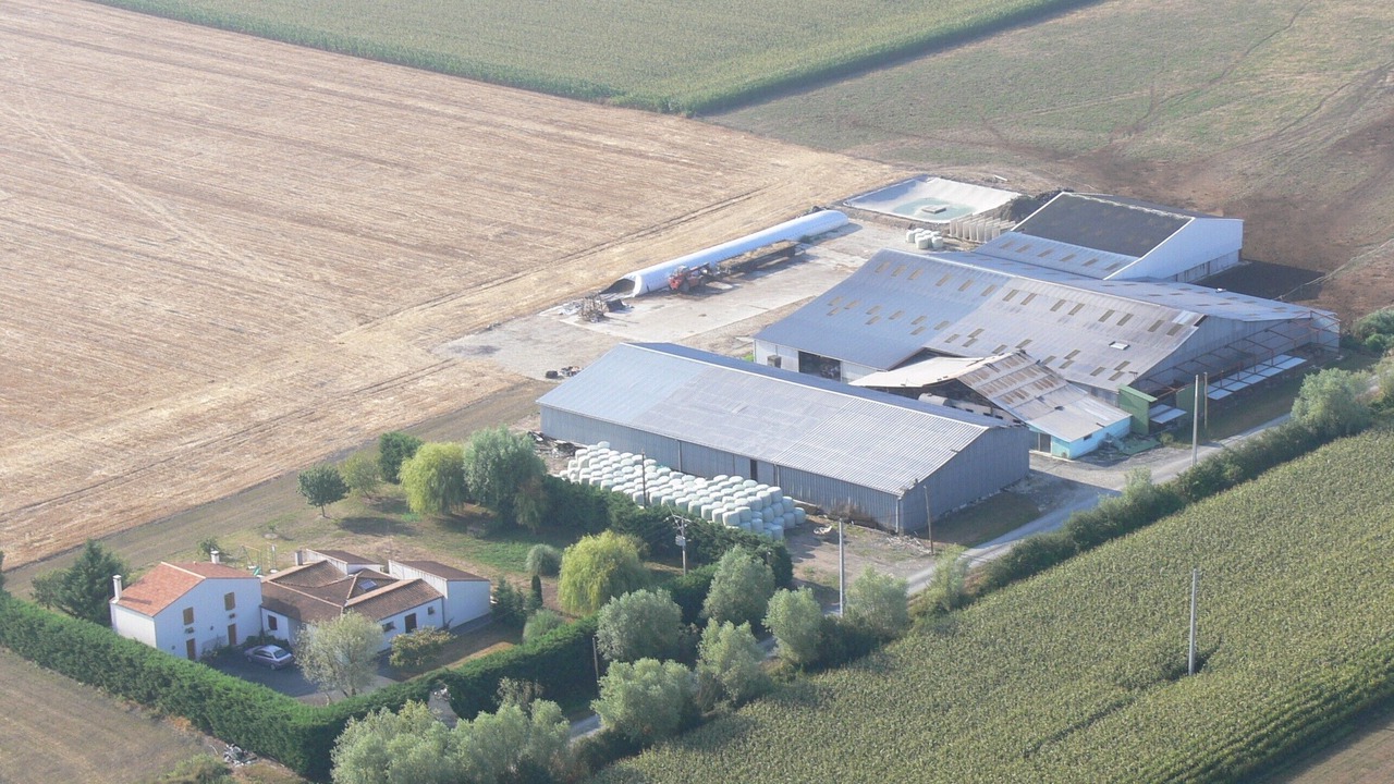 Photo of Outdoor in Marans