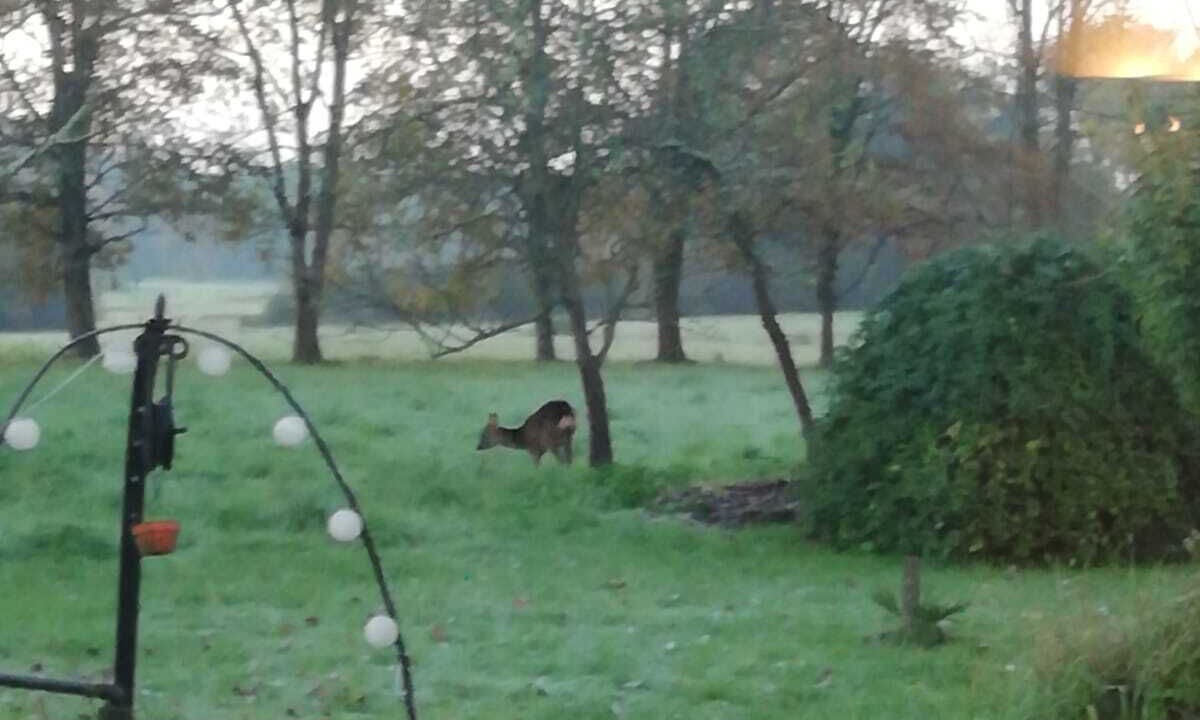 Photo of Outdoor in Cezac
