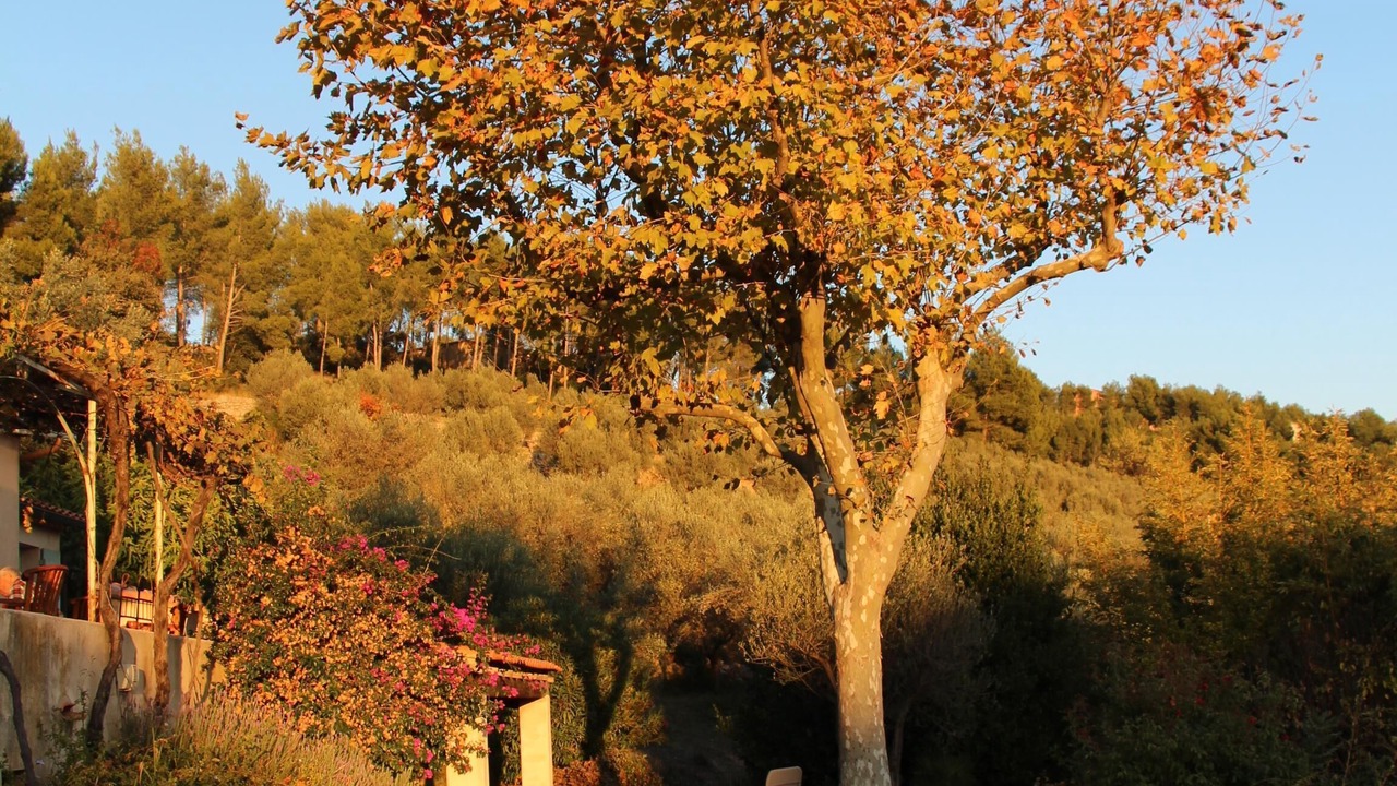 Photo of Outdoor in Sanary-sur-Mer