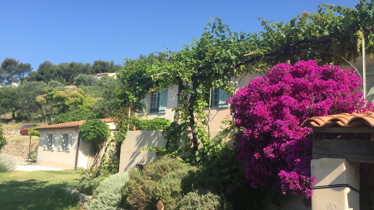 Photo of Outdoor in Sanary-sur-Mer