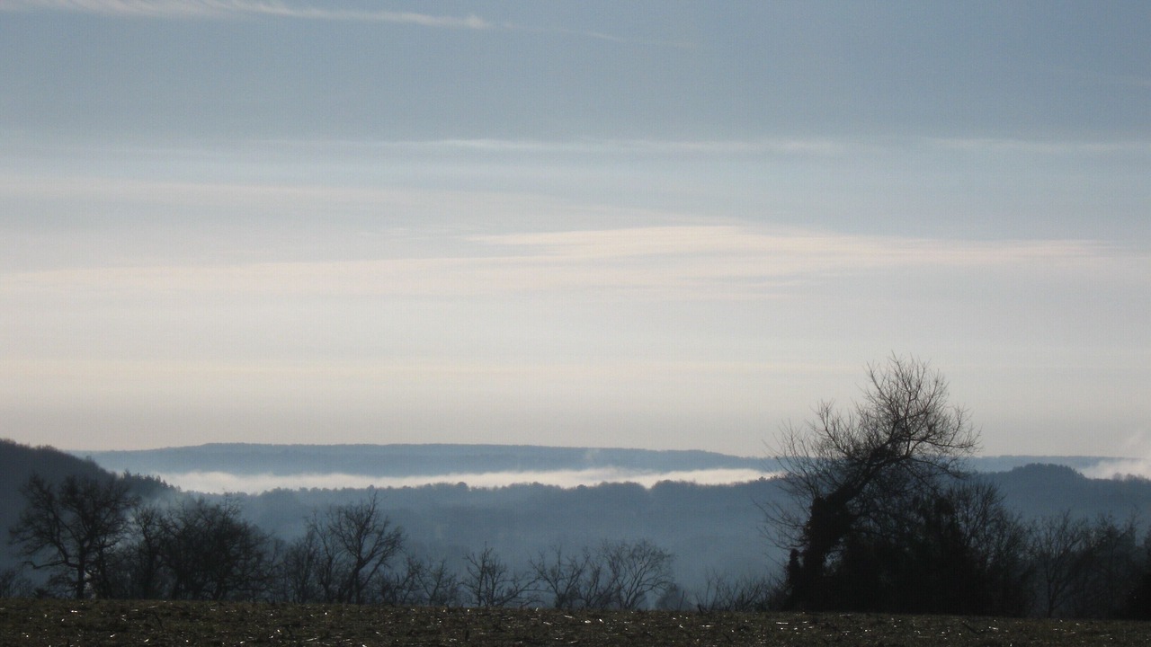 Photo of Others in Sainte-Alvere