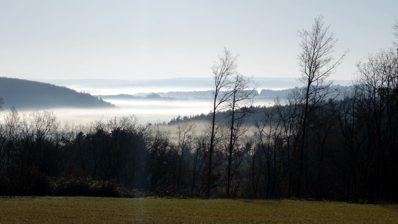 Photo of Outdoor in Sainte-Alvere