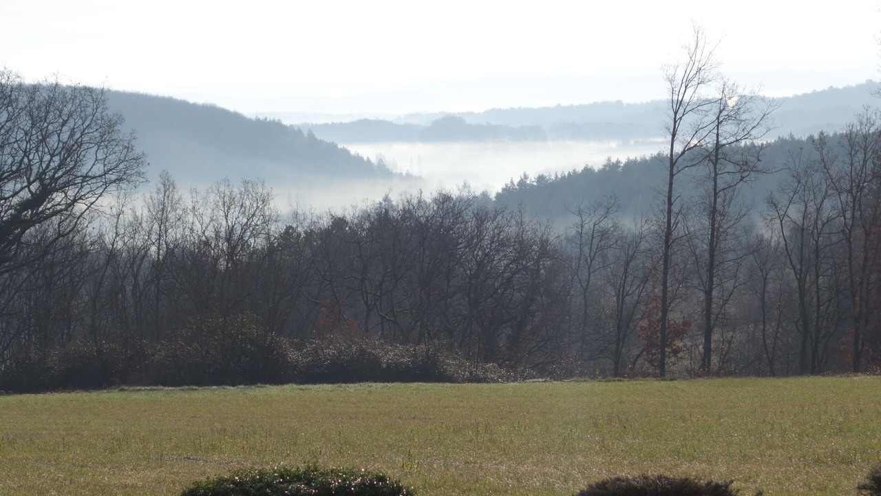 Photo of Outdoor in Sainte-Alvere