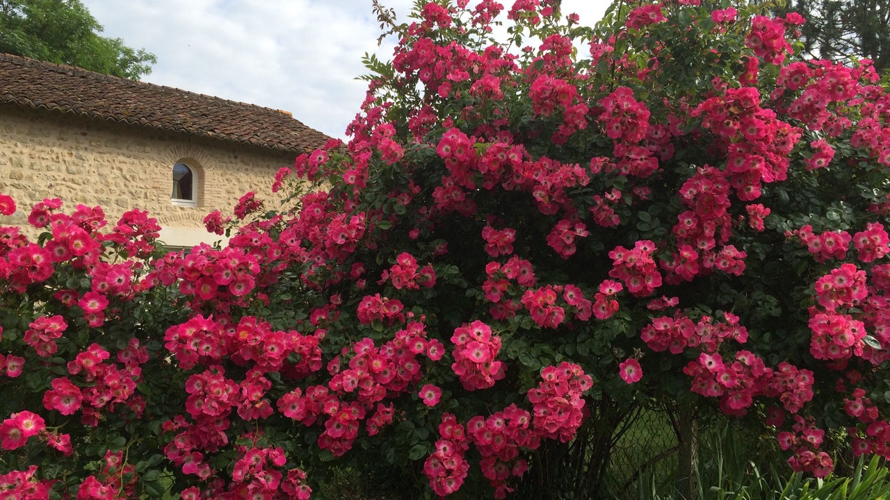 Photo of Outdoor in Saulge
