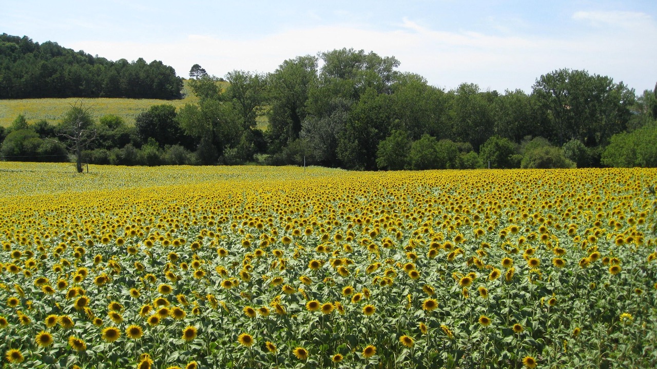 Photo of Outdoor in Tocane-Saint-Apre