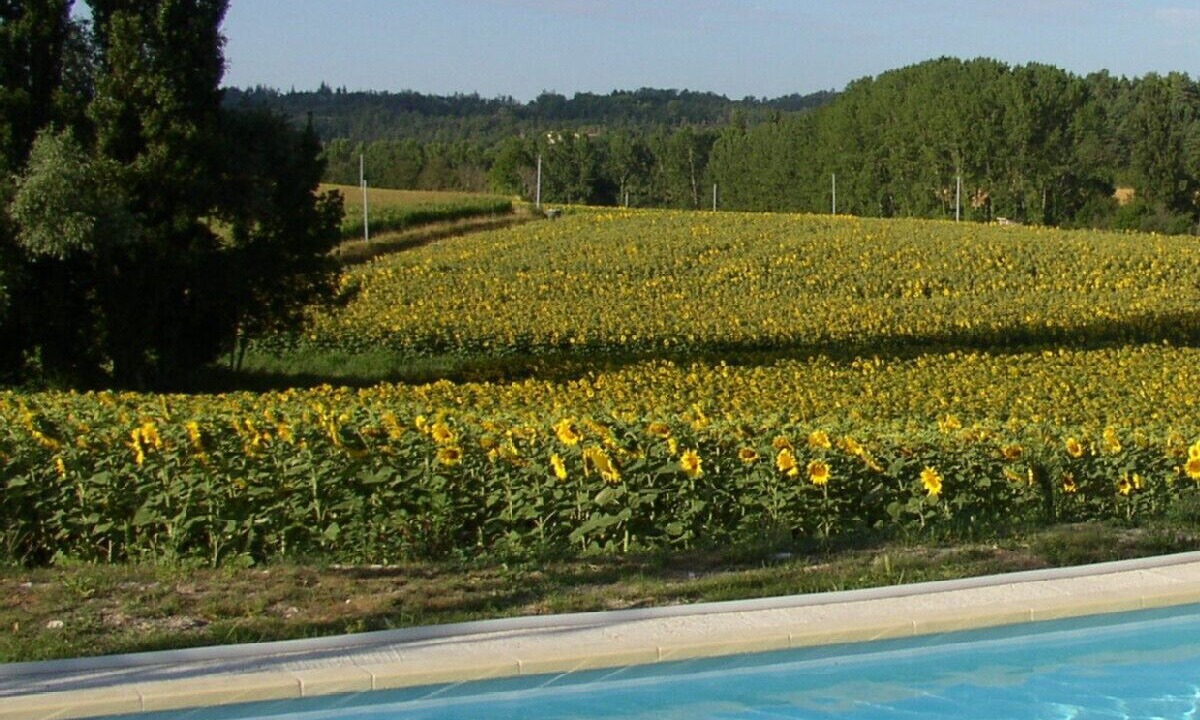 Photo of Outdoor in Tocane-Saint-Apre