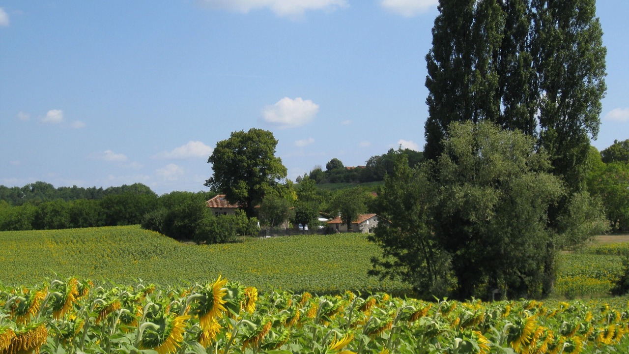 Photo of Outdoor in Tocane-Saint-Apre