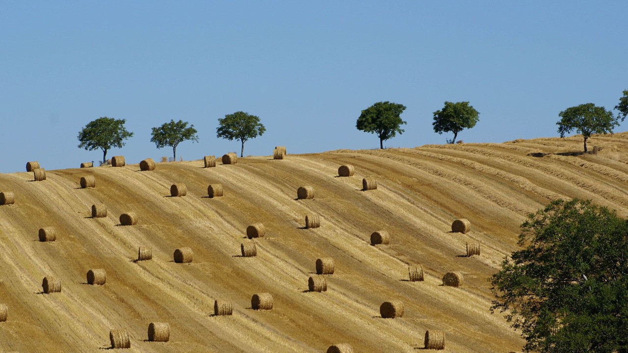 Photo of Outdoor in Bouteilles-Saint-Sebastien