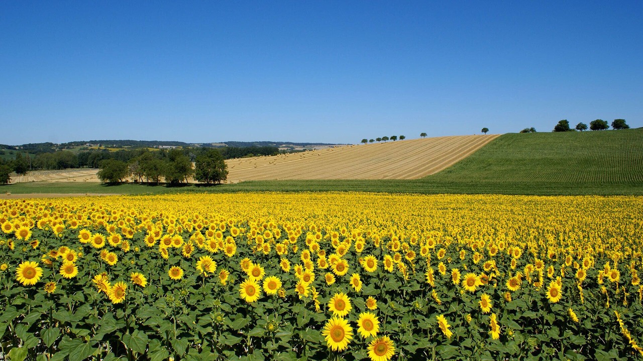 Photo of Outdoor in Bouteilles-Saint-Sebastien