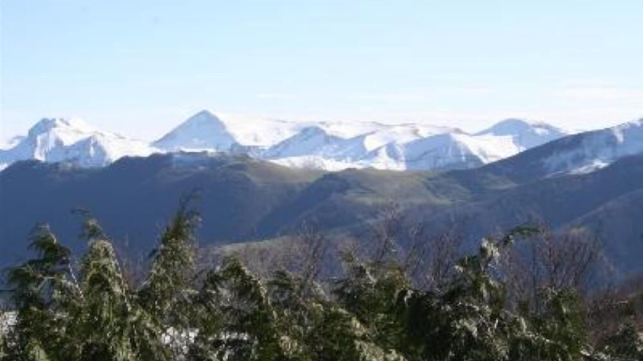 Photo of Others in Menditte