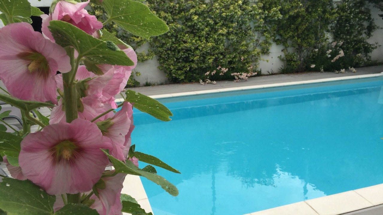 Photo of Outdoor in Saint-Palais-sur-Mer