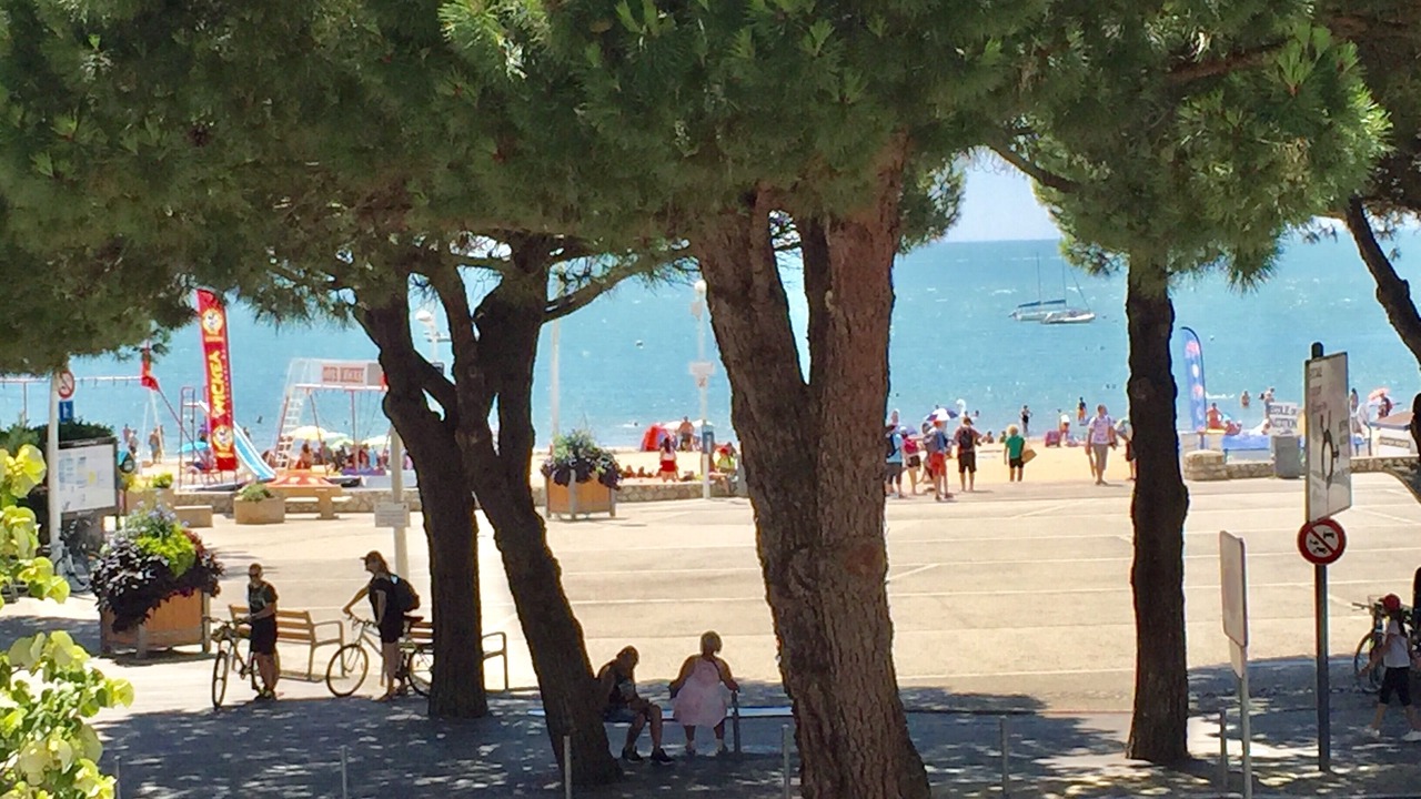 Photo of Others in Saint-Palais-sur-Mer