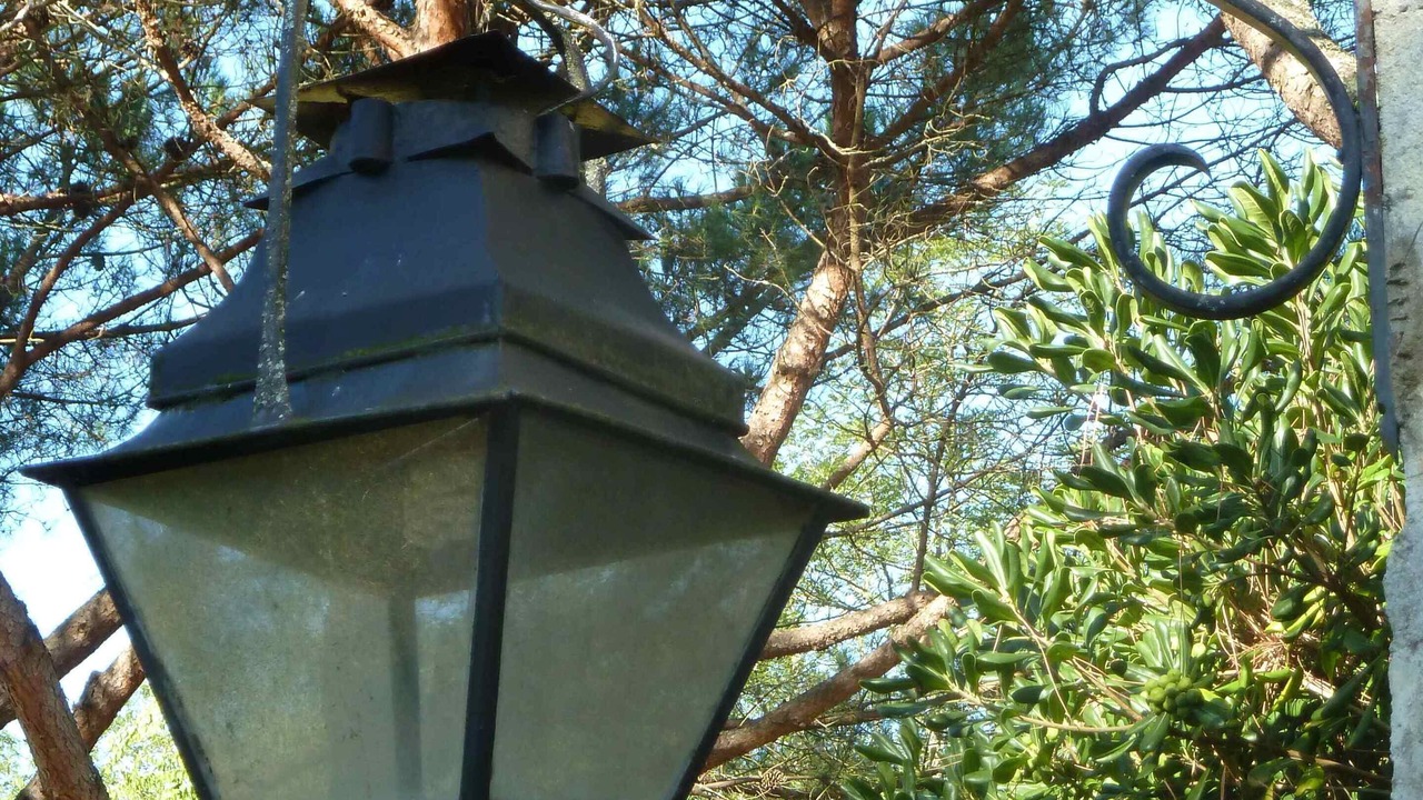Photo of Outdoor in Labarde