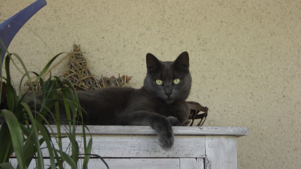 Photo of Outdoor in Prayssas
