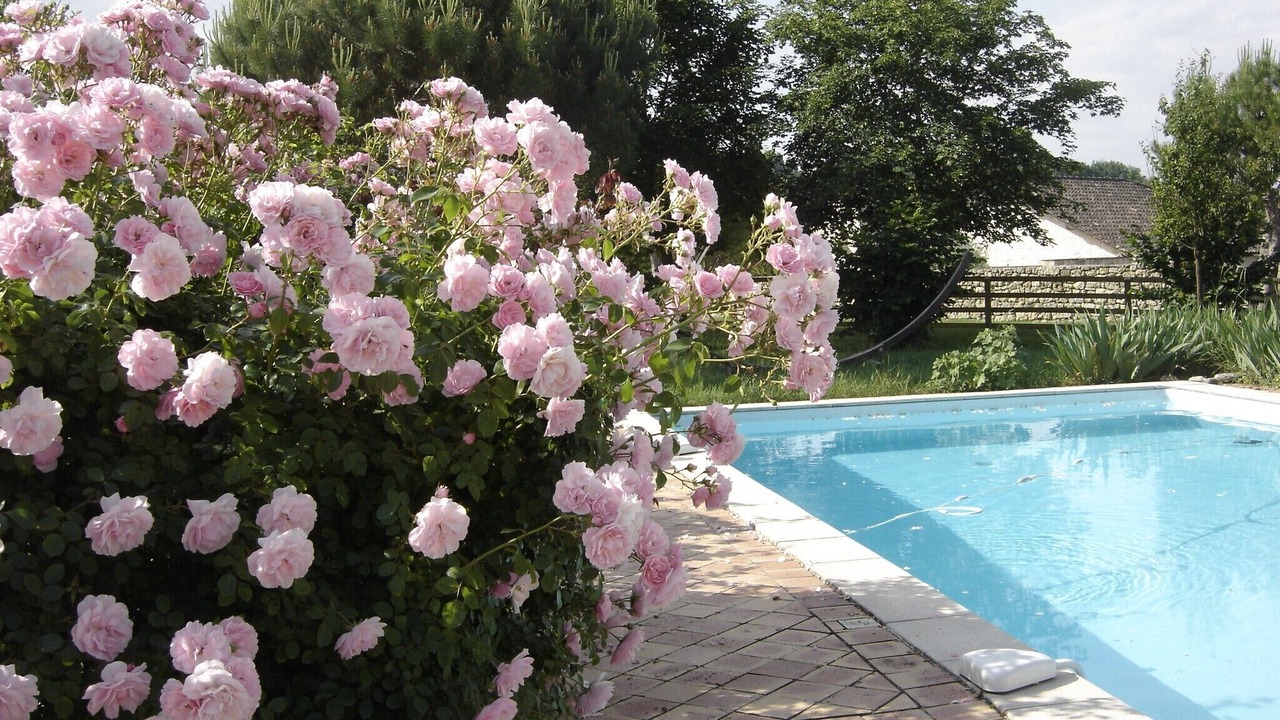 Photo of Outdoor in Prayssas