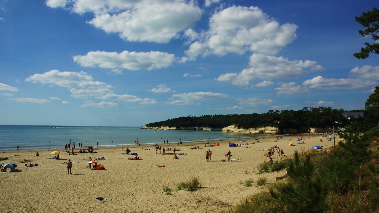 Photo of Others in Meschers-sur-Gironde