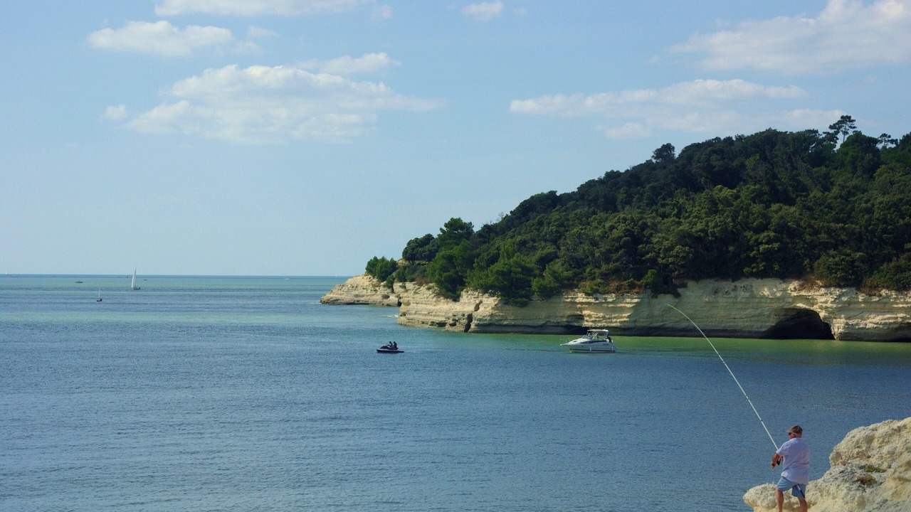 Photo of Others in Meschers-sur-Gironde