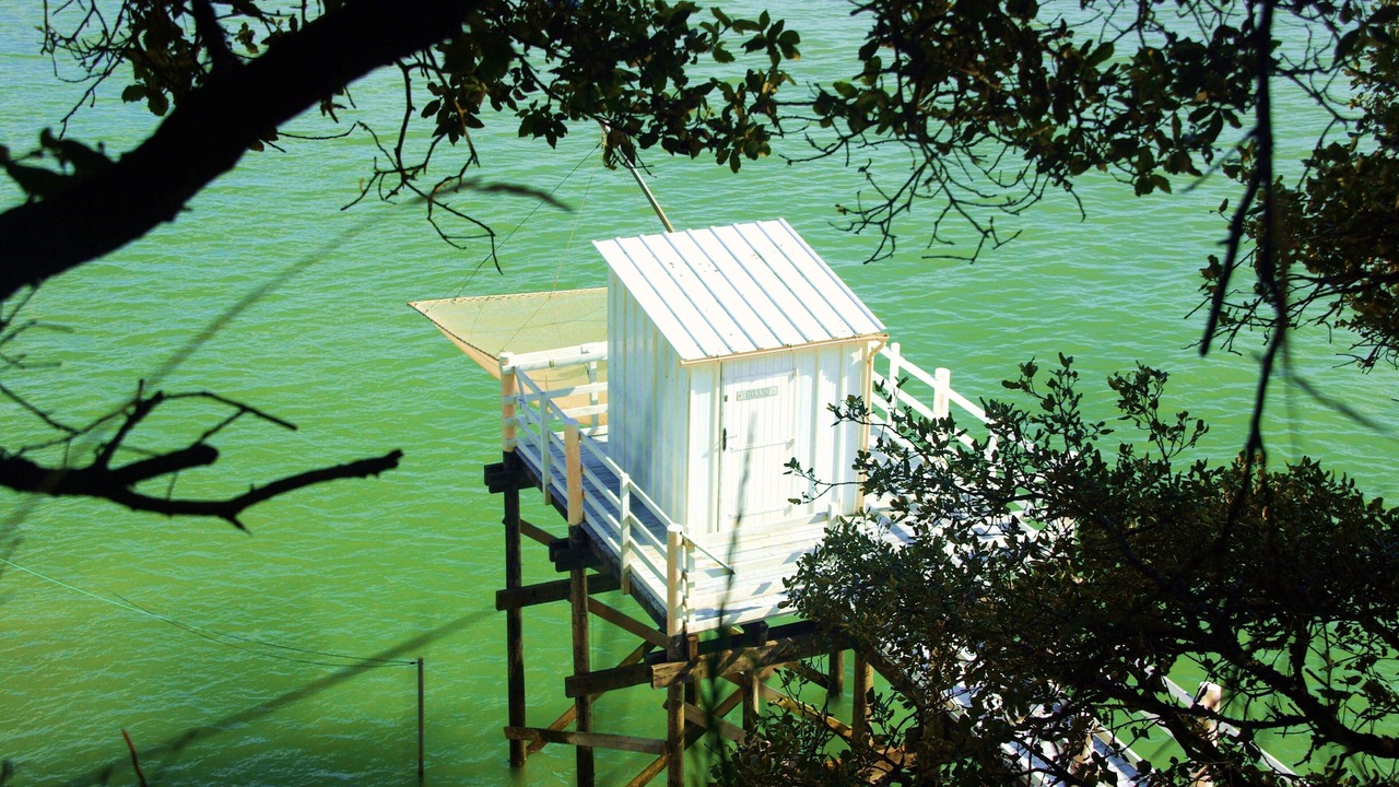 Photo of Outdoor in Meschers-sur-Gironde