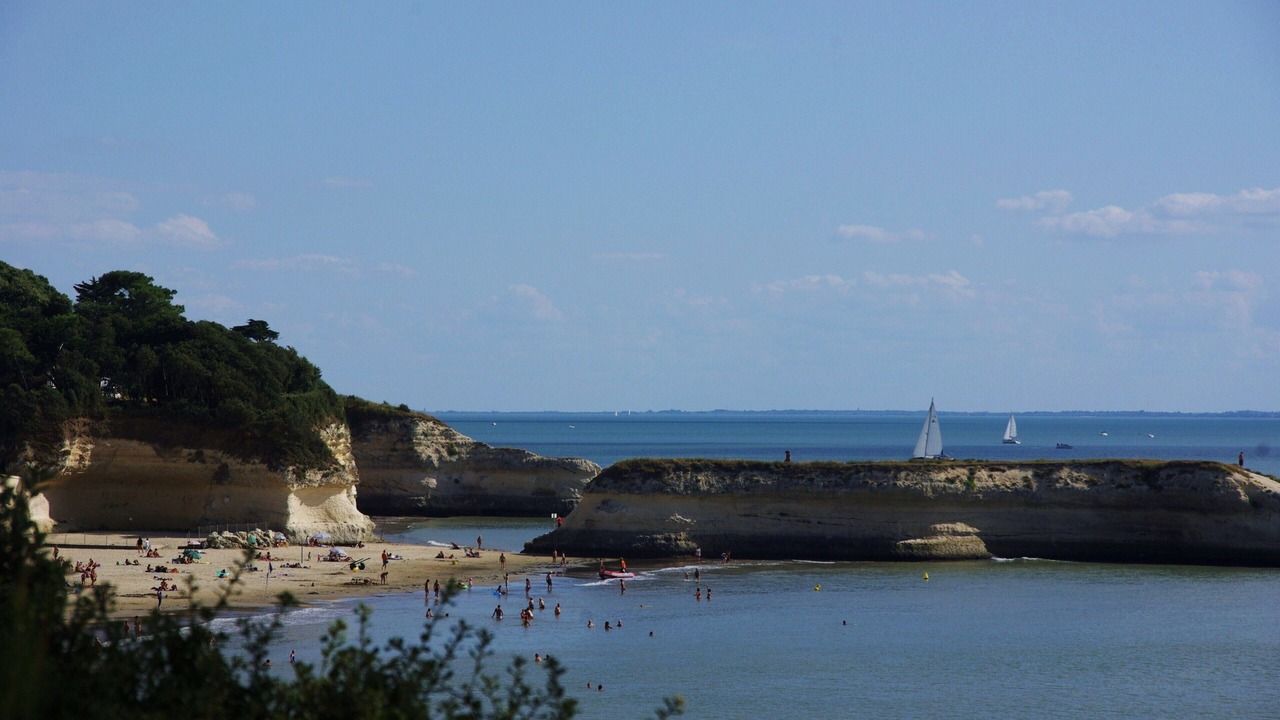 Photo of Others in Meschers-sur-Gironde