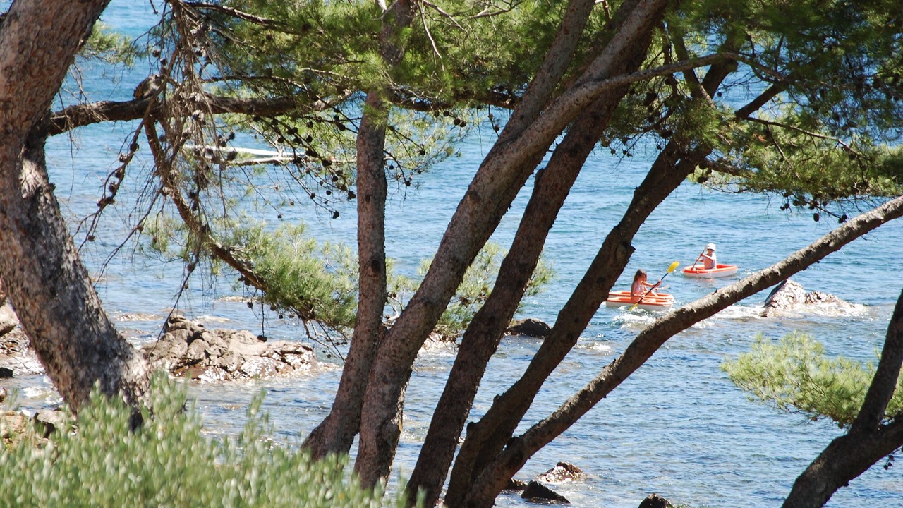 Photo of Outdoor in La Seyne-sur-Mer