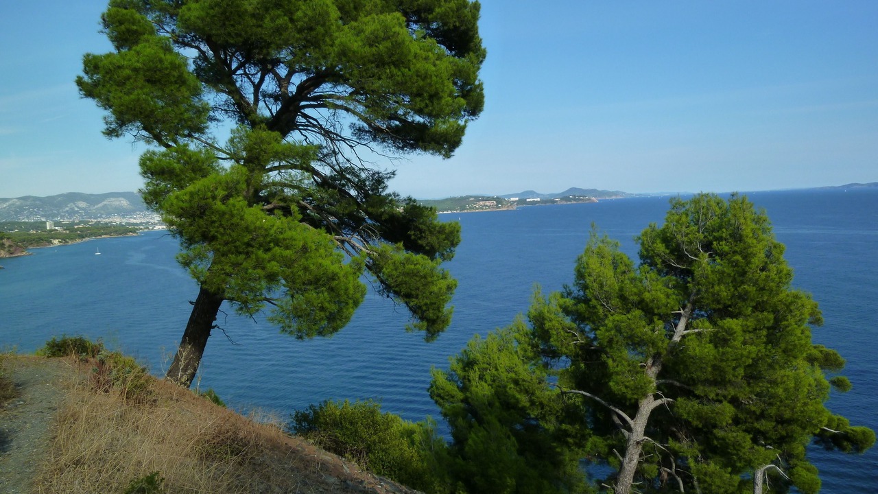 Photo of Others in La Seyne-sur-Mer
