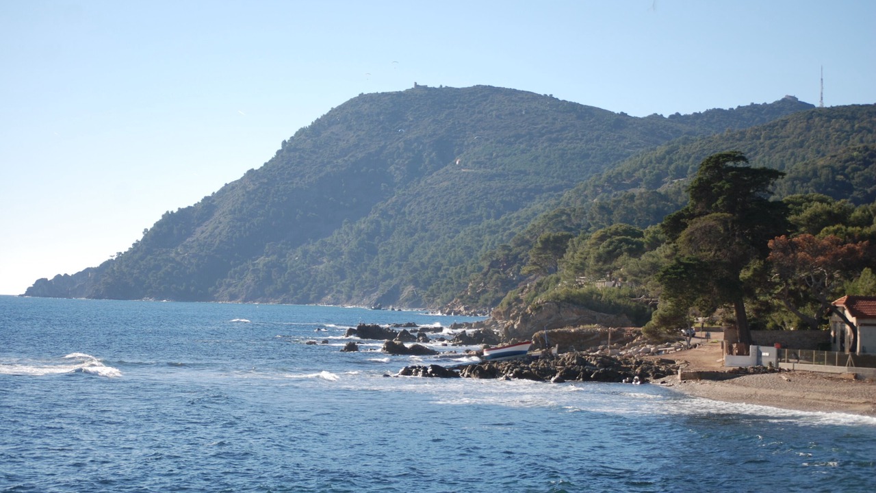 Photo of Others in La Seyne-sur-Mer