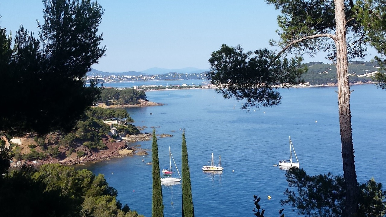 Photo of Others in La Seyne-sur-Mer