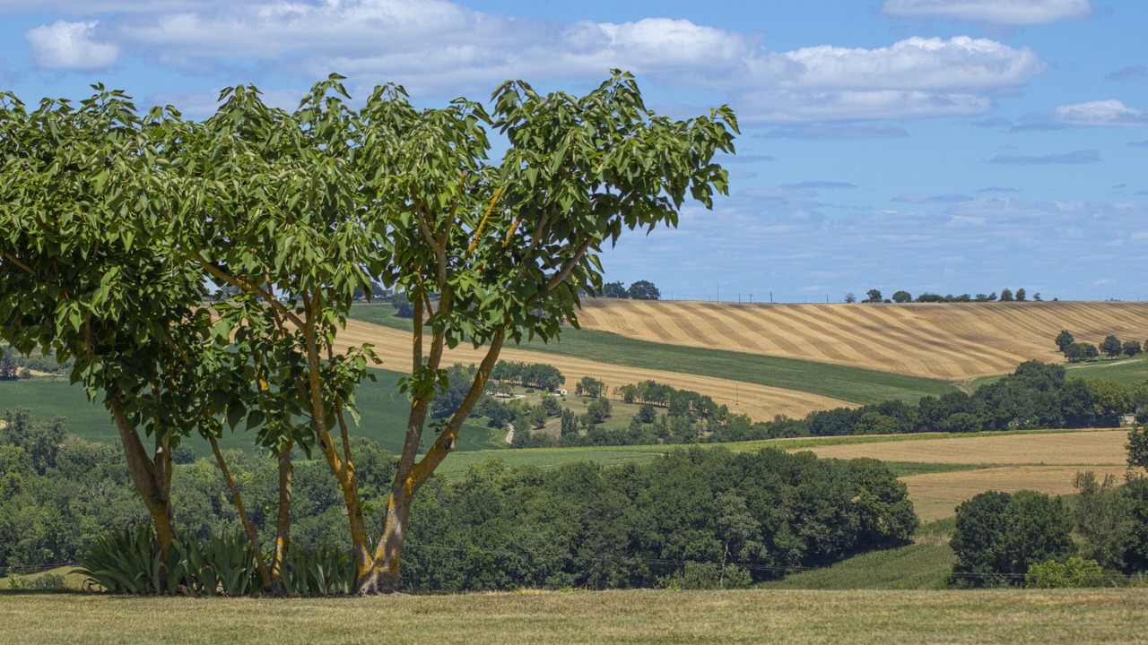 Photo of Outdoor in Moncrabeau
