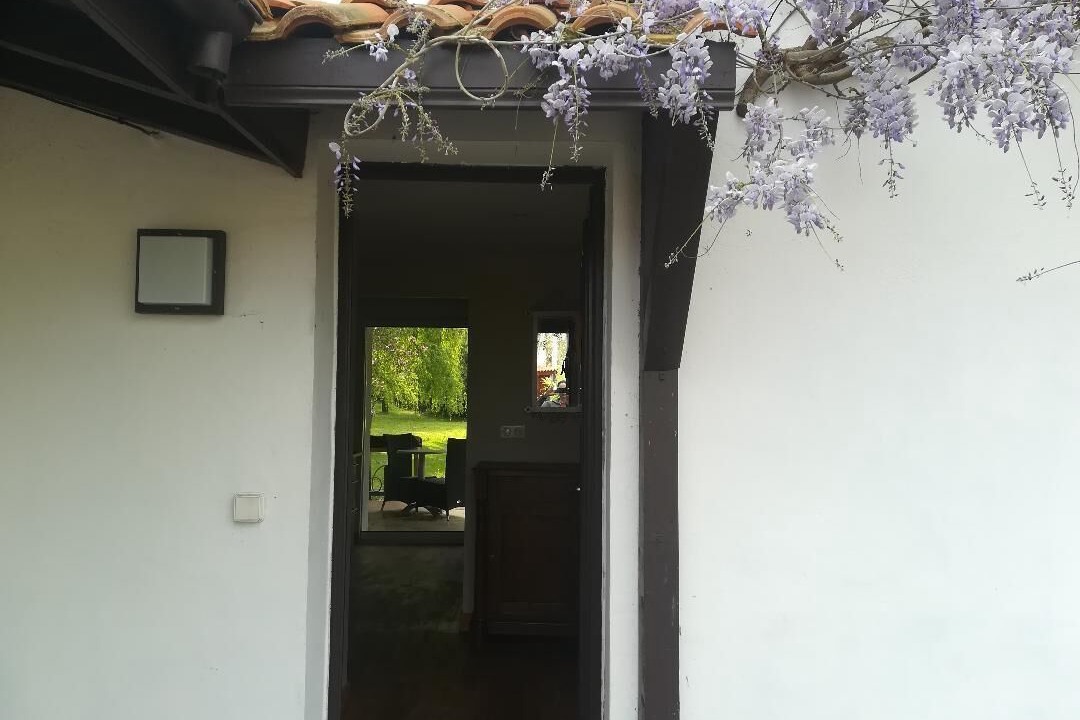 Photo of Outdoor in Ascain