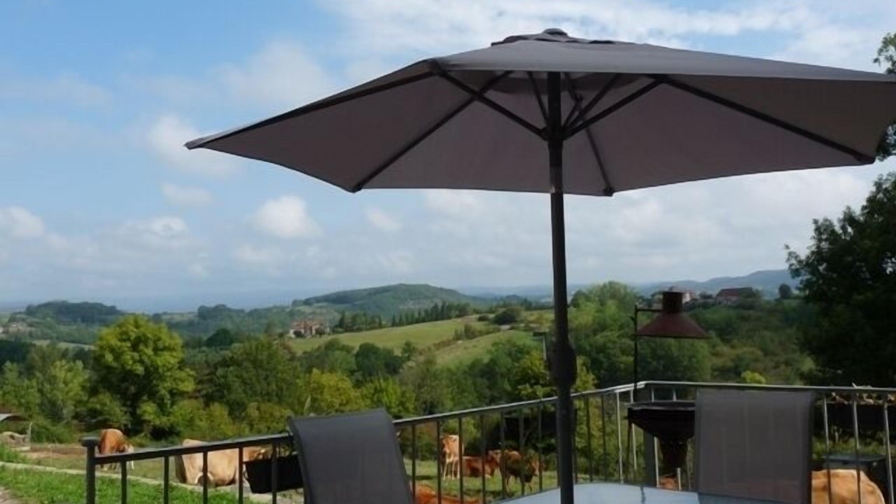 Photo of Outdoor in Queyssac-les-Vignes