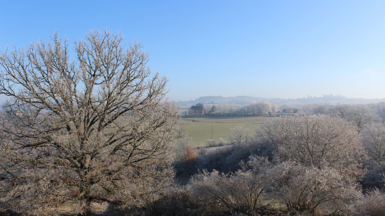 Photo of Outdoor in Queyssac-les-Vignes