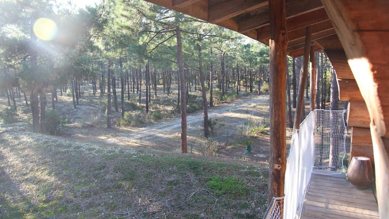 Photo of Outdoor in Carcans Plage