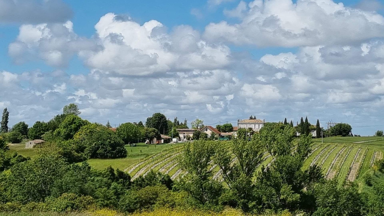 Photo of Others in Saint-Thomas-de-Conac