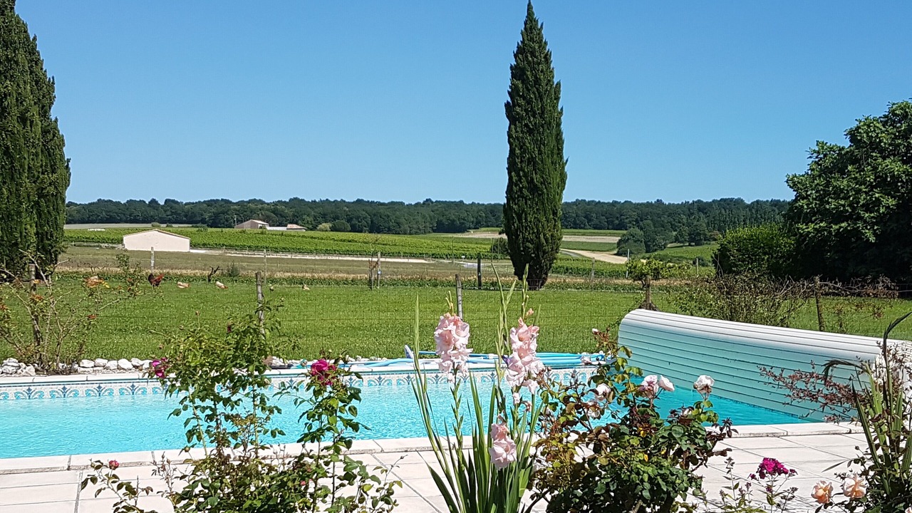 Photo of Outdoor in Saint-Thomas-de-Conac