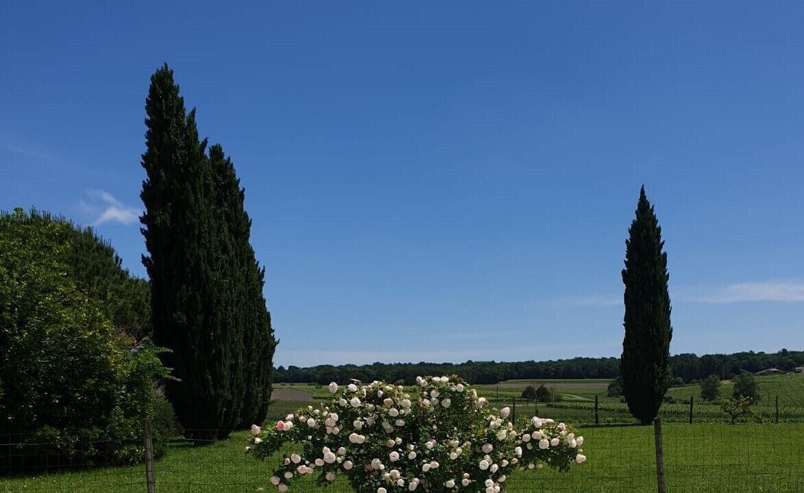 Photo of Outdoor in Saint-Thomas-de-Conac