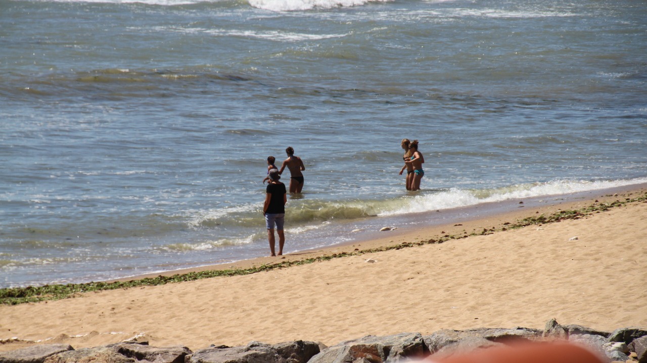 Photo of Others in La Cotiniere