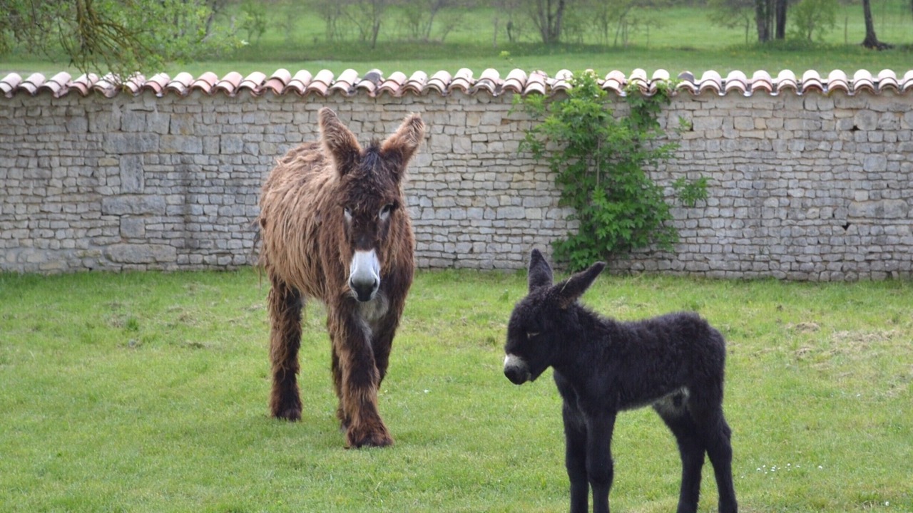 Photo of Others in Cherigne